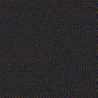 Arco-secret.jpg